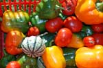 Farmers Market Title